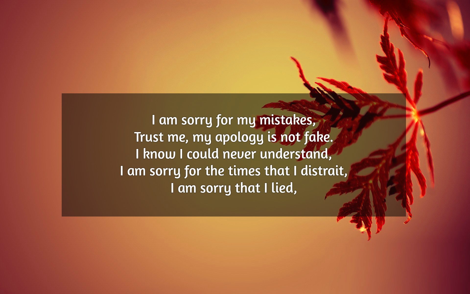 sorry not sorry memoir