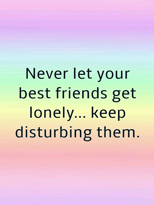 Funny Friendship Quotes 2018