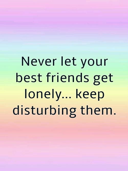 Funny Friendship Quotes