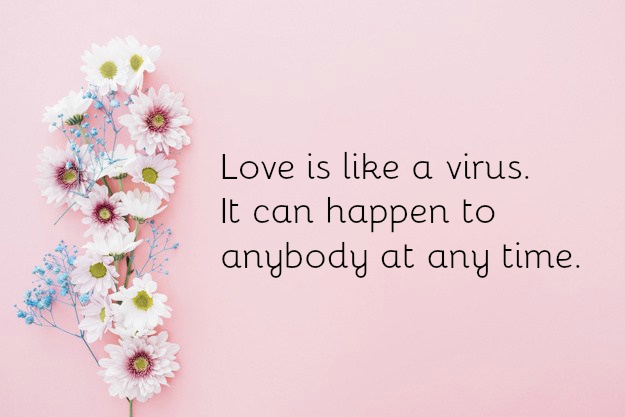 Maya Angelou Love Quotes