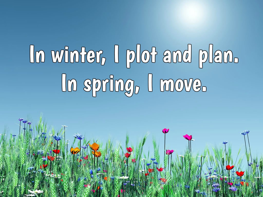 Spring Quotes