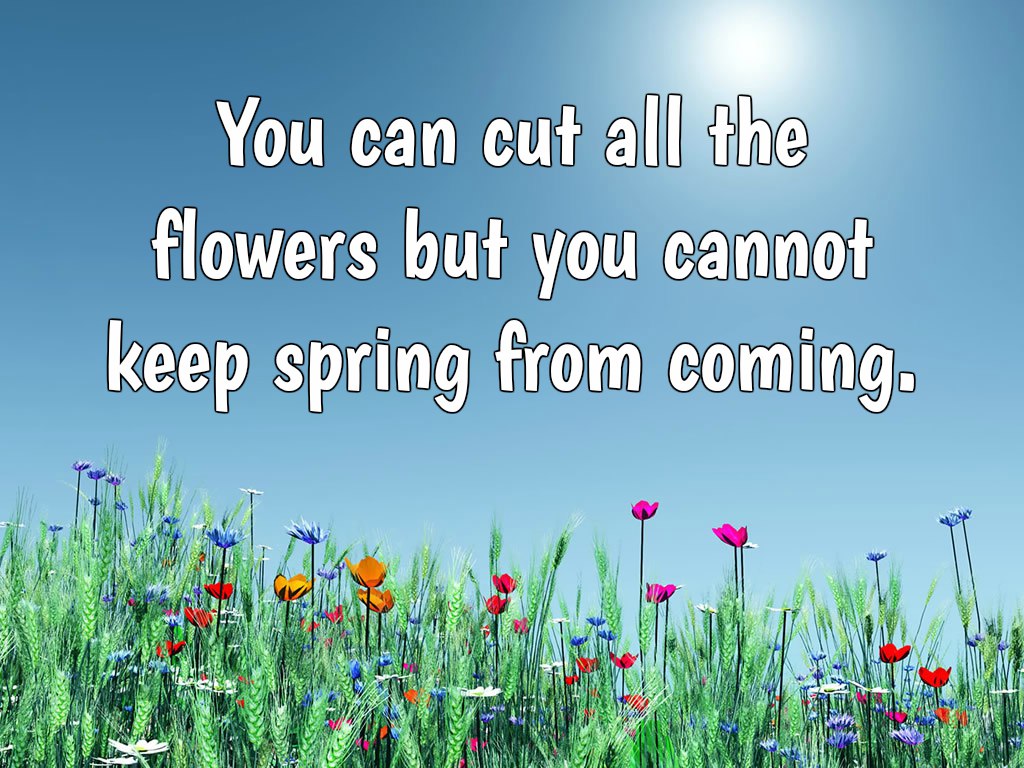 Spring Quotes