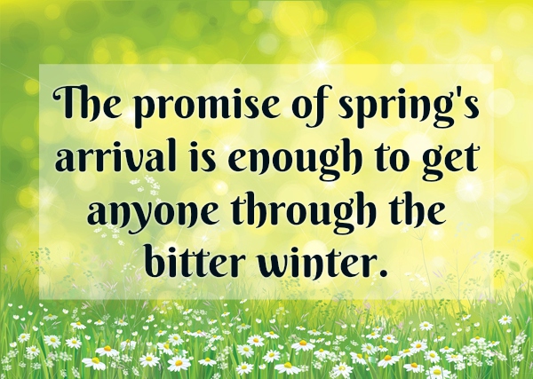 Spring Quotes