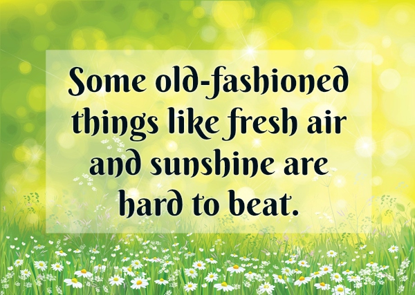 Spring Quotes