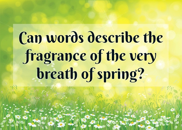 Spring Quotes