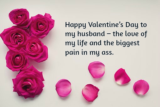 Valentine S Day Quotes For Husband Funny