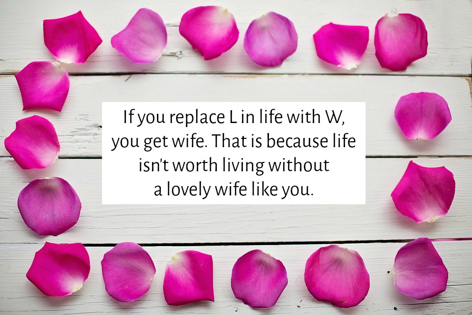 Romantic Valentine S Day Quotes For Wife Quotereel