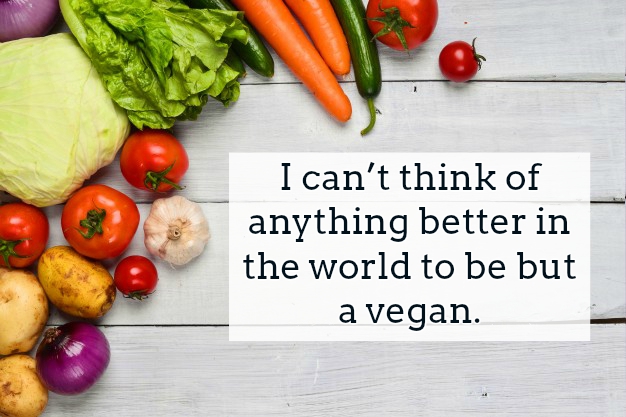 Vegan Quotes