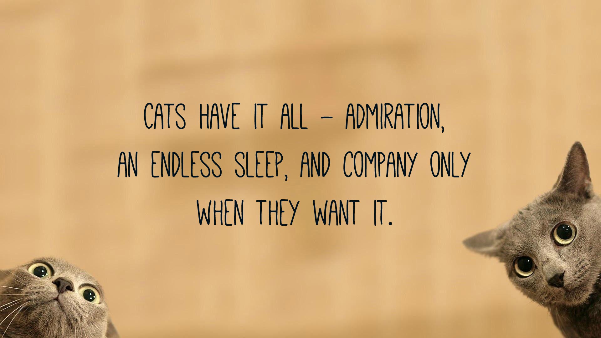 Cat Quotes