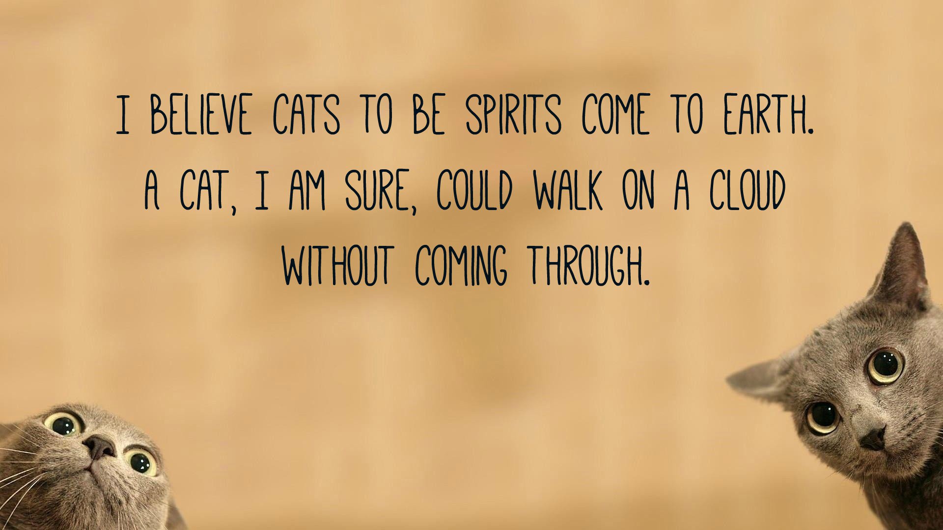 Cat Quotes