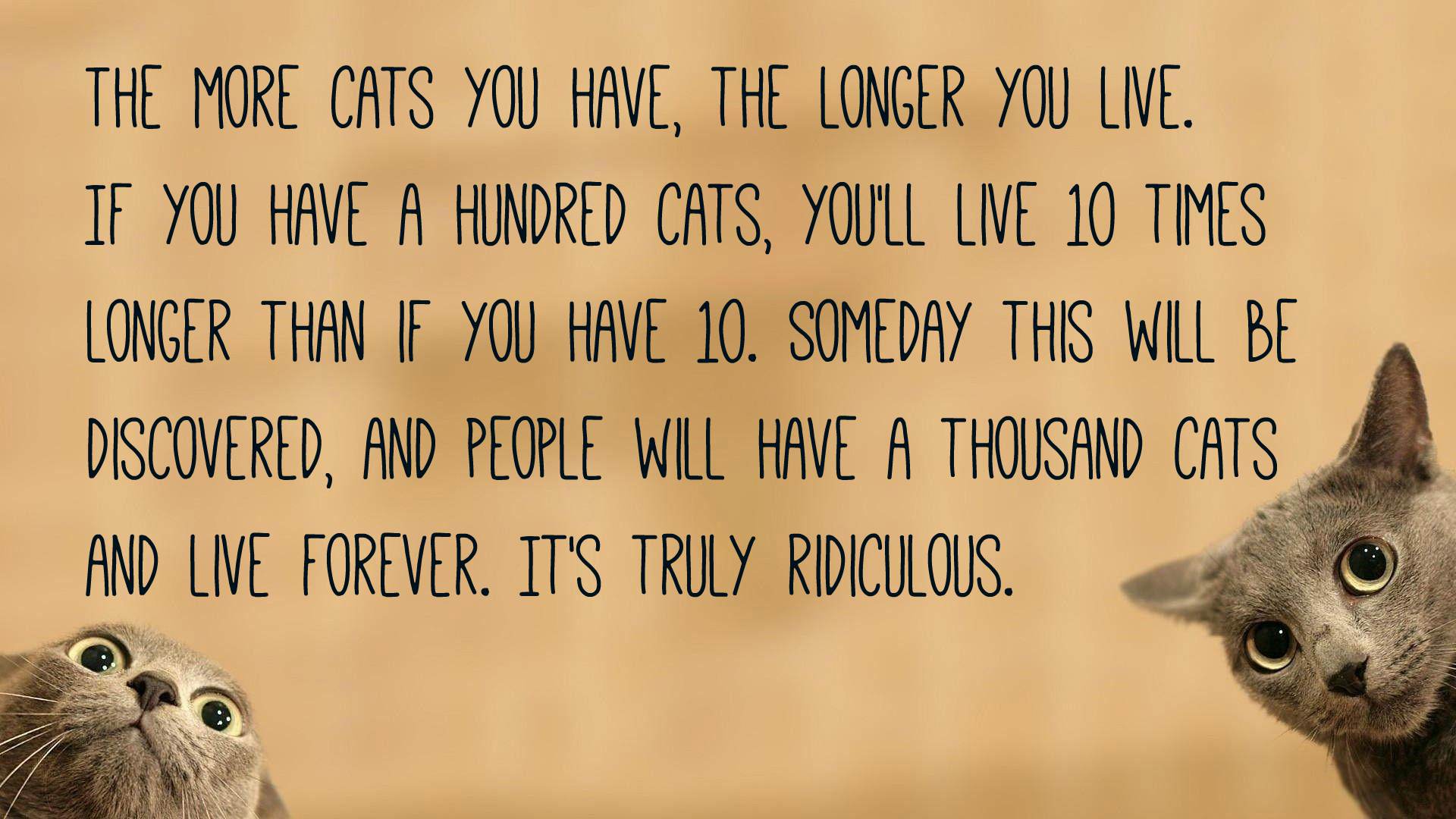 cat quotes and sayings