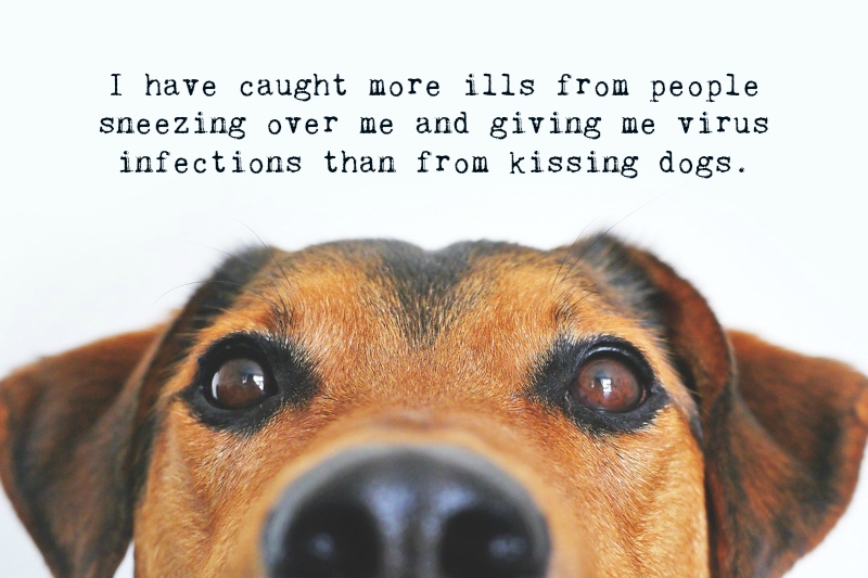 Dog Quotes