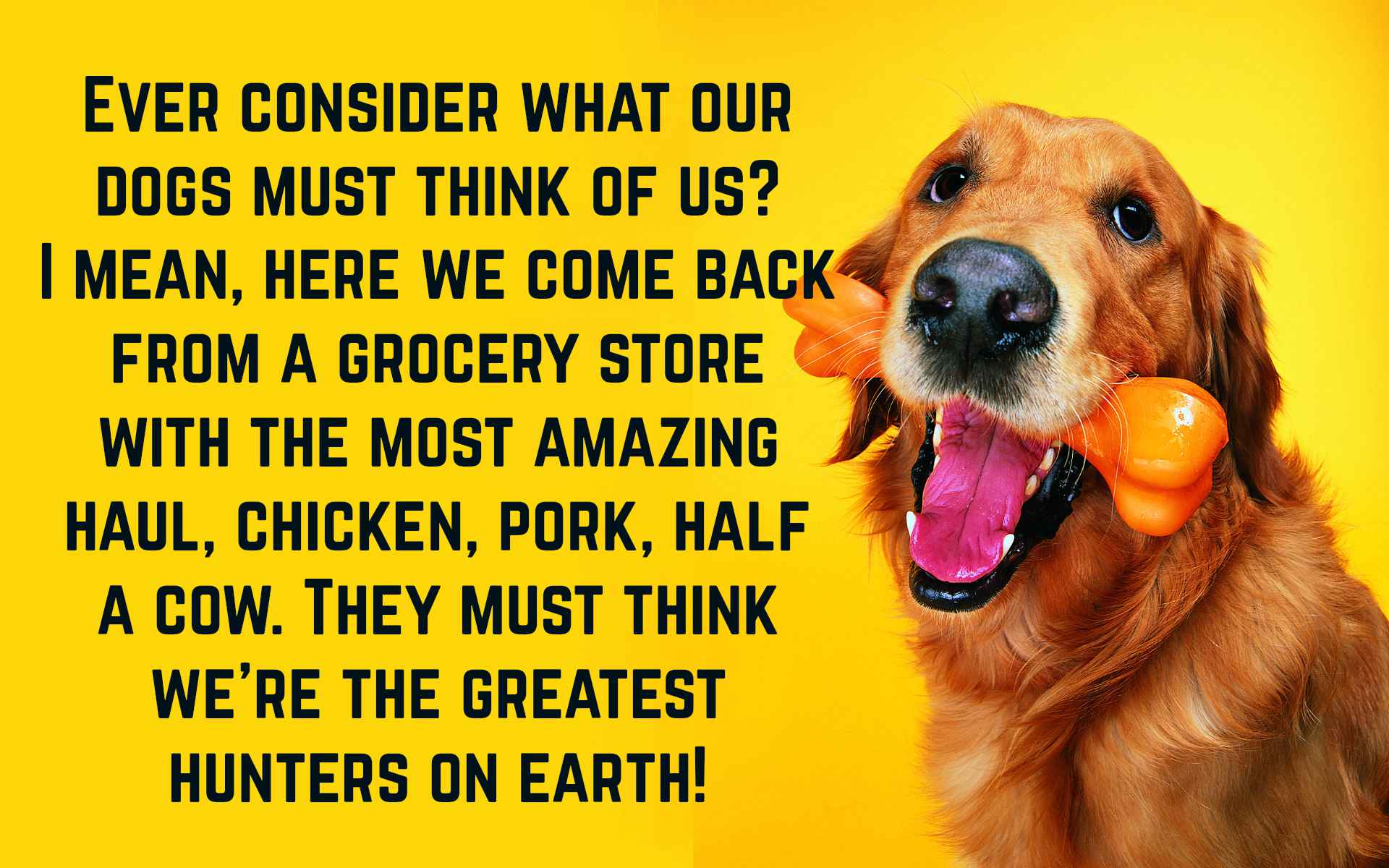 Funny Dog Quotes