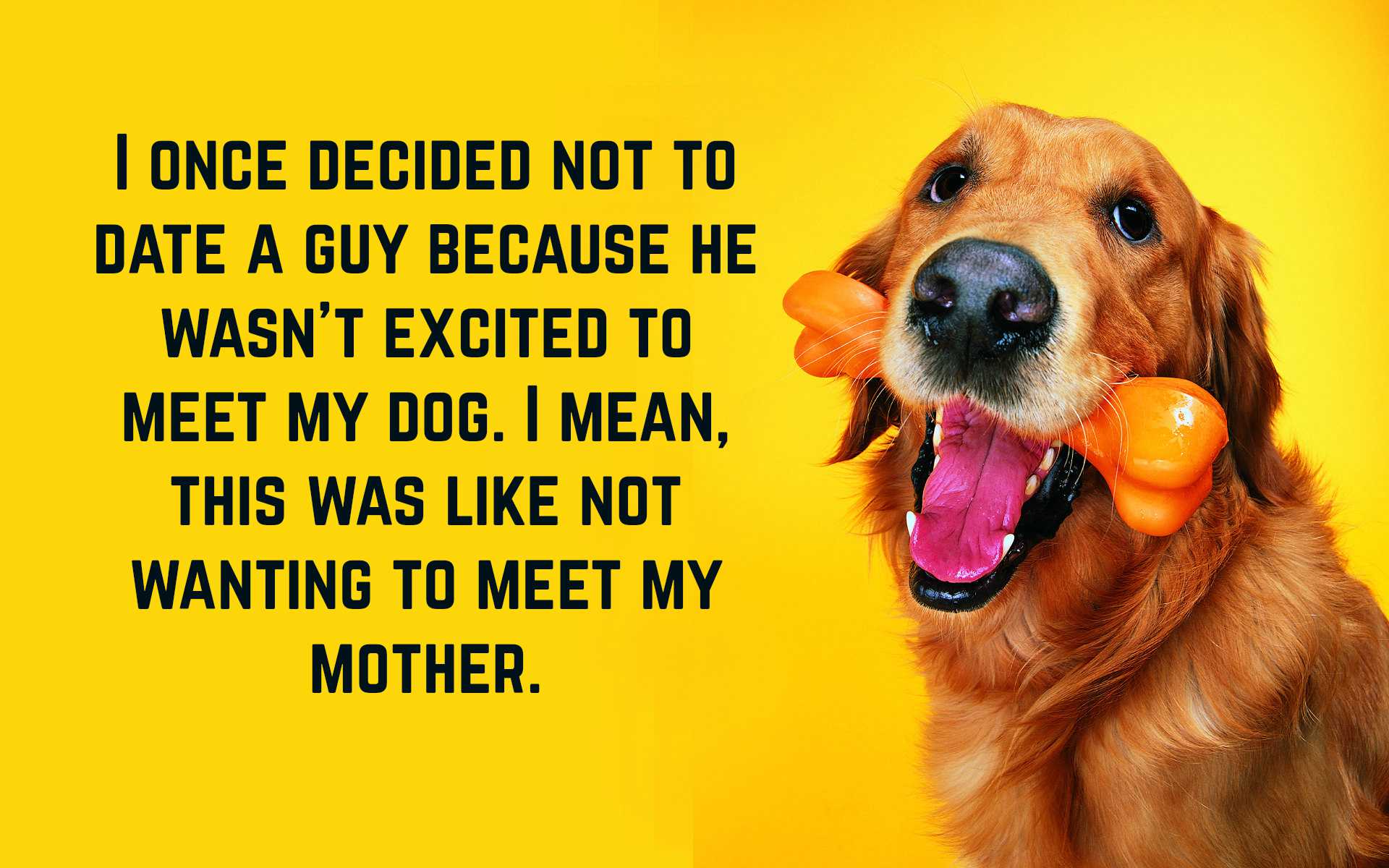 Funny Dog Quotes