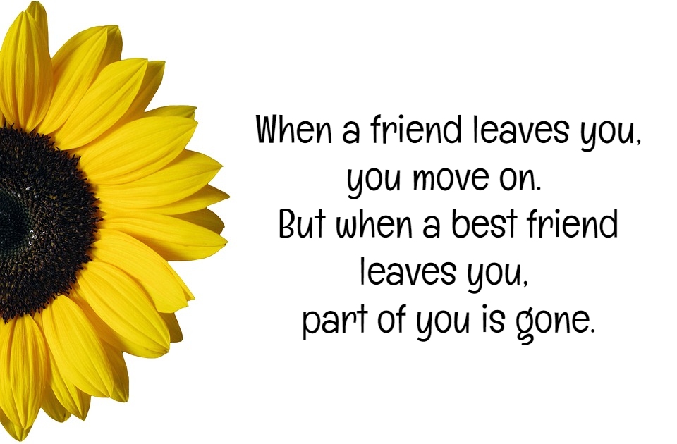 Best Friends Quotes That Make You Cry | Text & Image Quotes