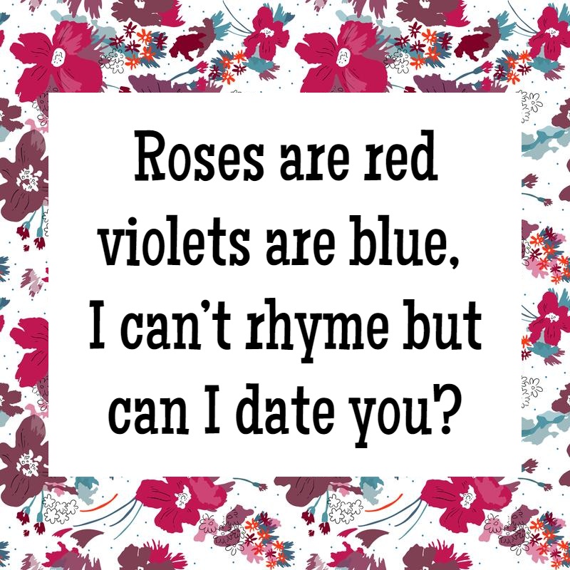 roses are red violets are blue funny pick up lines