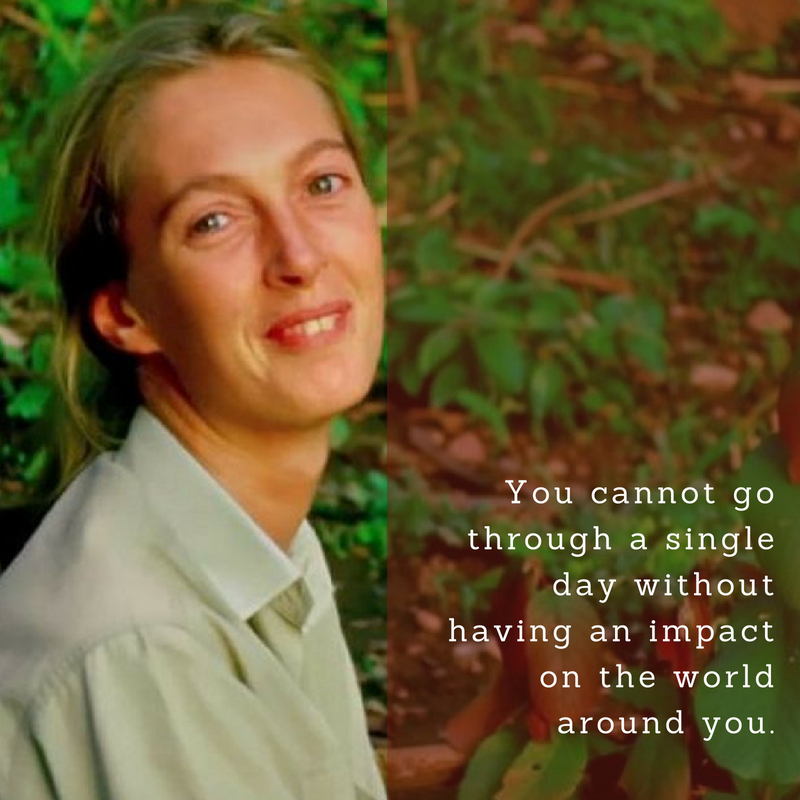 Jane Goodall Quote 5 | QuoteReel