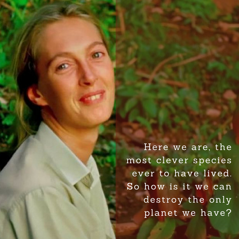 Jane Goodall Quotes  Text & Image Quotes  QuoteReel