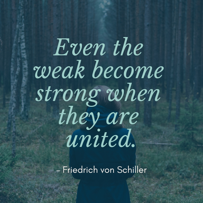 Unity Is Strength Quote